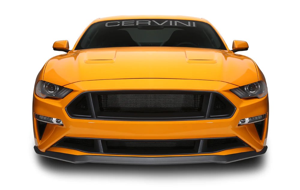 Cervinis 8074 — 1