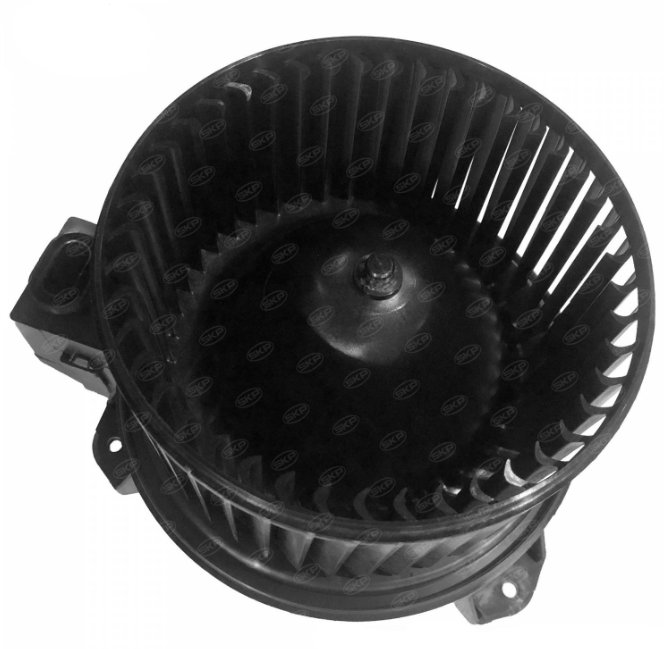Motorcraft 5R3Z19805A
