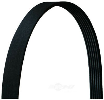 Motorcraft YL3Z8620BA
