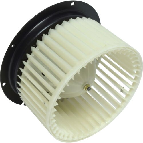 Motorcraft YW1Z19805CA